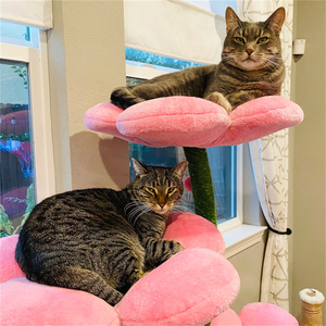 Menara Panjat Kucing Desain Baru XIANGLONG, Rumah Kucing Kayu Indoor dengan Tiang Garukan Sisal Alami - Product Image 3