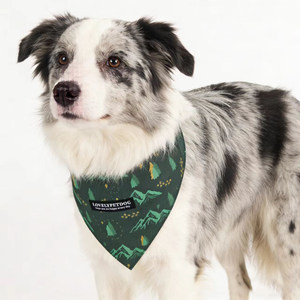 <span class=keywords><strong>Bandana</strong></span> Triangolare a Quadri Personalizzabile con Logo per Cani e Gatti - Sciarpa Collare Regolabile in Cotone per Tutte le Stagioni - Product Image 6