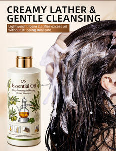 Champú Reparador con Aceite Esencial Nutritivo Anticaspa y Aceite de Árbol de Té para Cabello Teñido y con Permanente (Líquido) - Product Image 5