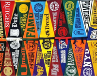 Triangle fanion drapeaux personnalisés tricoté Polyester imprimé sport Seahawks bruant nfl bannière collège fanions annoncer décorer