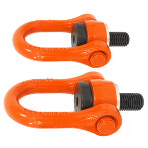 Le filetage RD24 tourne le point de <span class=keywords><strong>levage</strong></span> en acier allié 42 crmo demandé - Product Image 5