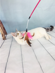 Espiral Turquía pluma <span class=keywords><strong>Teaser</strong></span> gato juguetes campana mordedura resistente interactivo gato <span class=keywords><strong>Teaser</strong></span> varita - Product Image 3