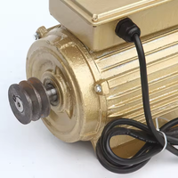 Moteur monophasé d'équipement industriel agricole de ménage de 220v Ac pour l'usage de machines agricoles