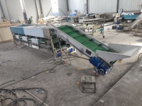 Blauwe bessen sorteermachine, fruit- en tomatensorteermachine, appel-, citrus- en uienselektor, fruit sorteermachine