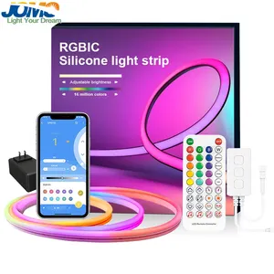 High Quality Single Color/RGB Color LED Neon smart led strip light for tv