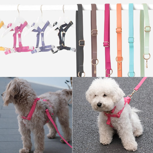Laisse <span class=keywords><strong>pour</strong></span> <span class=keywords><strong>chien</strong></span> en PVC imperméable robuste personnalisée, collier, laisse <span class=keywords><strong>pour</strong></span> <span class=keywords><strong>chien</strong></span> mains libres avec revêtement TPU, <span class=keywords><strong>ceinture</strong></span> de taille <span class=keywords><strong>pour</strong></span> la course à pied et la marche - Product Image 4