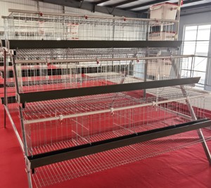 A-Loại 4 Cấp Đầy Đủ Tự Động Lưới Thép Gà Hai Lớp Lồng Điều Kiện Mới Gia Cầm Lồng Cho Gà Thịt Chim - Product Image 6