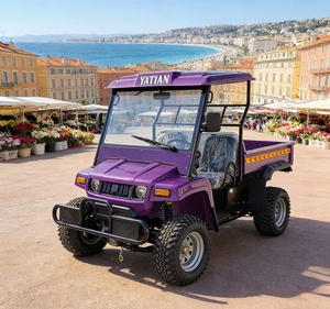 Véhicule utilitaire <span class=keywords><strong>électrique</strong></span> 10KW 4x4 tout-terrain résistant à l'eau salée, buggy de livraison pour les stations balnéaires - Product Image 2