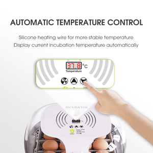 Incubateur automatique pour 16 œufs, dernière conception <span class=keywords><strong>2022</strong></span>, <span class=keywords><strong>prix</strong></span> au Ethiopie - Product Image 2
