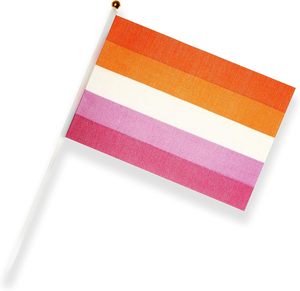 Venta al por mayor personalizado orgullo lésbico mano bandera decoraciones LGBT Les mano pequeña puesta de sol lesbiana orgullo mes Mini banderas en palo - Product Image 4