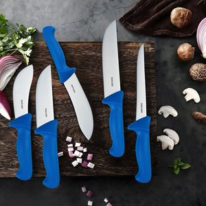 Ensemble de couteaux de camping en acier inoxydable portable Pp 2 Chef 2 Butcher 1 Boning Knife avec sac de transport pour la viande, les fruits, la cuisine, la maison, l'extérieur - Product Image 4