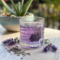Sachets de thé aux fleurs de lavande séchées personnalisés, bourgeons séchés de qualité supérieure, thé aux herbes 100% naturel