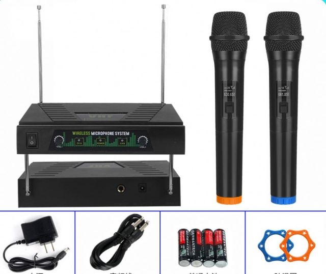 Factory Free OEM VHF 2 Channel Wireless Microphone Handheld Mic Party Conference Recording Live Home KTV Portable Dual Channel