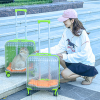 Valise de transport pour animaux de compagnie, sac de transport pour chat, boîte de voyage portable de grande capacité, sac de voyage pour petit chien, valise de voyage pour sorties, matériau PETG