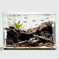 Bois flotté carbonisé PKY en gros, bois flotté en nid d'abeille torsadé pour aménagement d'aquarium et ornement de vivarium pour reptiles