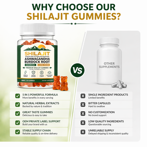 Gummies de Shilajit de l'Himalaya Véganes Sans Sucre OEM en Gros 800mg Complexe pour la Vitalité et le Bien-être – Gummies de Shilajit Direct Usine - Product Image 5