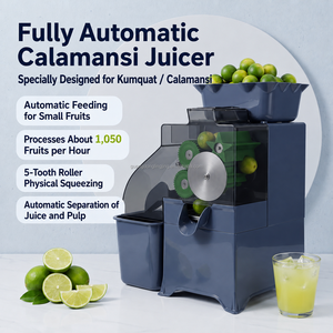 Estrattore di Succo Elettrico Commerciale per <span class=keywords><strong>Calamansi</strong></span> e Limone, Macchina per Spremitura a Freddo per Ristoranti e Juice Bar - Product Image 5