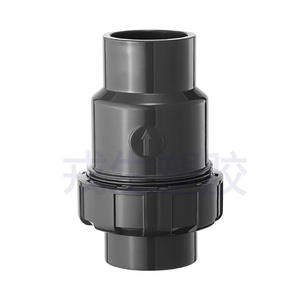 Válvula de Retención de Bola de PVC, Diámetro Convencional, Sellado de Goma, Accesorio para Tubería de Agua, Uso Industrial, Válvula Vertical de No Retorno - Product Image 1