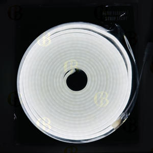 Lettres personnalisées Mots Publicité Enseignes au néon flexibles 12V Bande de silicone extrudée flexible étanche Lampes au néon à LED - Product Image 2