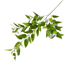 Flores Artificiales de Clematista, Ramas de 30cm-100cm, Decoración de Plástico para Interiores, para Sala de Estar y Arreglos de Boda - Product Image 5