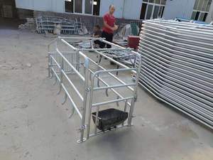 Altre attrezzature <span class=keywords><strong>per</strong></span> la zootecnia singole casse da allevamento a buon mercato <span class=keywords><strong>per</strong></span> la vendita gabbie <span class=keywords><strong>per</strong></span> animali da allevamento di suini gabbia <span class=keywords><strong>per</strong></span> suini recinzione penne <span class=keywords><strong>per</strong></span> ingrasso - Product Image 6