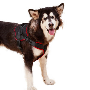 LKS LKS327 Superventas: Arnés de malla reflectante y transpirable con hebilla para perros grandes (<span class=keywords><strong>Pastor</strong></span> Alemán y <span class=keywords><strong>Border</strong></span> <span class=keywords><strong>Collie</strong></span>) - Product Image 4