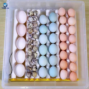 Kích Thước Nhỏ 48 Pcs Máy Ấp Trứng Gà Giá Bán Nóng Hoàn Toàn Tự Động Tiết Kiệm Năng Lượng - Product Image 4