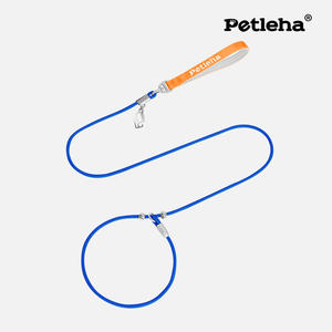 Integrierte kleine Hundeleine und umweltfreundliches klassisches Haustierhalsband mit festem Muster aus Polyester und Handleine - Product Image 6