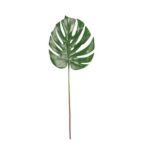 Venta caliente artificial tortuga sale verde <span class=keywords><strong>bonsai</strong></span> colgando plantas artificiales tortuga hoja para la decoración hogar Oficina - Product Image 5