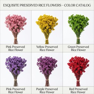 Fleurs <span class=keywords><strong>de</strong></span> riz naturelles préservées, <span class=keywords><strong>bouquet</strong></span> <span class=keywords><strong>de</strong></span> fleurs séchées, fleurs éternelles réelles, matériaux pour artisanat <span class=keywords><strong>en</strong></span> résine DIY, <span class=keywords><strong>bouquet</strong></span> <span class=keywords><strong>de</strong></span> mariage, décoration intérieure - Product Image 6