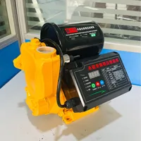 Pompe à eau auto-amorçante domestique à levage élevé 220V-pour l'extraction de l'eau de puits et le renforcement des canalisations d'eau du robinet
