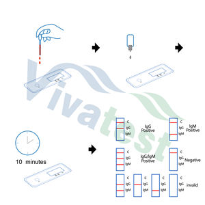Kit de Prueba Combinada de Antígeno <span class=keywords><strong>NS1</strong></span>/IgG/IgM para <span class=keywords><strong>Dengue</strong></span>, Precio de Fábrica al por Mayor, con Sangre Total, Certificado CE Clase II, 2 Años de Vida Útil - Product Image 4