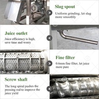 Raisin Oignon Squeeze Ananas Grenade Extracteur De Jus Industriel Machine pour Faire Du Jus De Goyave