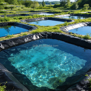 Géomembrane HDPE de 40 mil d'épaisseur et 30 m de longueur pour la couverture des bassins d'élevage de poissons - Product Image 3