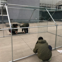 Cage commerciale de poulet de poulailler galvanisé portatif de tuyau