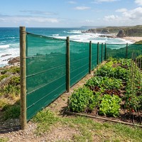 Filet de protection agricole personnalisé pour serre, ferme, jardin, ombrage, balcon, couverture de plantes, clôture d'intimité extérieure