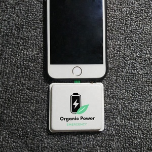 2023 caricabatteria portatile monouso di emergenza caricabatterie mobile power bank di emergenza - Product Image 6