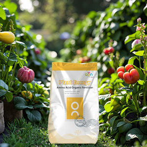 <span class=keywords><strong>Engrais</strong></span> en poudre à 80% d'acides aminés, adapté à vos <span class=keywords><strong>tomates</strong></span>, aubergines, poivrons verts, maïs, etc. Voie naturelle <span class=keywords><strong>pour</strong></span> stimuler vos cultures - Product Image 1