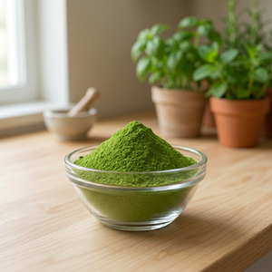 Premium Food Grade Freeze-Dried Tulsi Powder 100% Holy Basil Leaves Herbal Ingredient Clean Label for Tea Beverage Food - Product Image 4