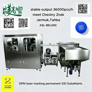 Machine de marquage laser UV Tanba GS1 DataMatrix pour le marquage des bouchons de grandes bouteilles d'eau minérale naturelle, traçabilité un article-un code - Product Image 2
