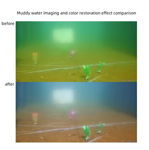 Cámara de Acuicultura Impermeable FullDepth <span class=keywords><strong>1080P</strong></span> <span class=keywords><strong>HD</strong></span> <span class=keywords><strong>con</strong></span> Sensor CMOS y Compresión H.264 para Drones - Product Image 6