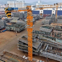 Düşük Fiyatlı 5ton 6ton İnşaat Kule Vinçleri Kendinden Yükselen 48m Serbest Yükseklik 63t.m 5013 Tip Kule Vinç CE Belgeli