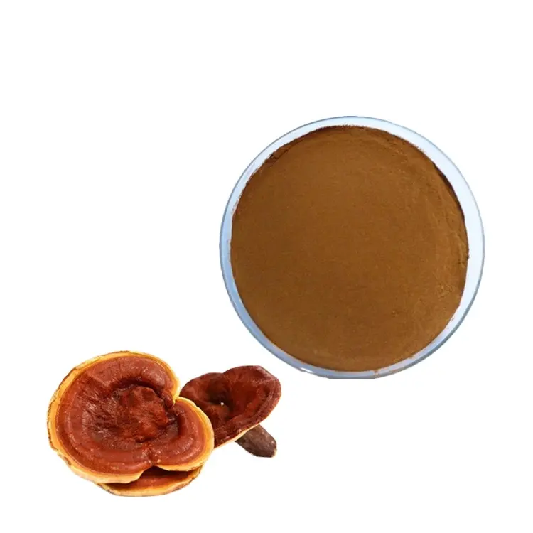 Free Sample Factory Supply Customized 100% natural Organic Reishi Mushroom lingzhi Ganoderma Lucidum Extract Powder