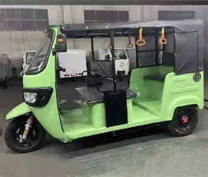 800w 1000w 1500w 3000w Electric Passenger Tricycle E Rickshaw India Electric Rickshaw