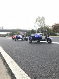 Triciclo Eléctrico de Tres Ruedas con Sidecar, Personalizable con Logotipo, Nuevo, 2 Asientos, Apto para Adultos, Venta al Por Mayor - Product Image 4