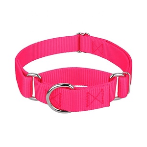 Produsen OEM kerah anjing Martingale kerah nilon kustom dapat disesuaikan latihan luar ruangan kerah anjing Martingale - Product Image 1