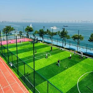 Football Football Sports Revêtement de sol Bleu Tapis Faux Herbe Extérieur <span class=keywords><strong>Gazon</strong></span> Synthétique Football Formation Tapis <span class=keywords><strong>Gazon</strong></span> - Product Image 5