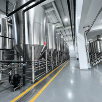 Cuve de Fermentation de Bière 3000L 4000L en Acier Inoxydable pour Brasserie