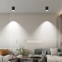 Pour l'éclairage commercial moderne encastré, spots LED pour hôtels, projecteurs, downlights, downlights LED