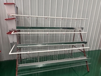 Système de cages à poules pondeuses à prix abordable avec équipement avicole de qualité fiable – Cage à poules pondeuses